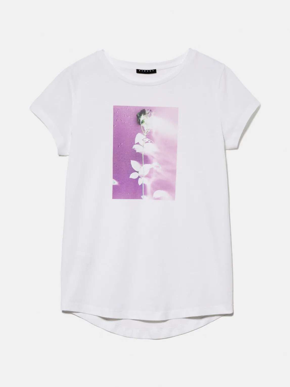Women Sisley Tops & T-Shirts<Crew Neck T-Shirt With Print